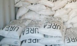 साल्ट ट्रेडिङ कर्पोरेसन झापामा २२८ मेट्रिक टन रासायनिक मल मौज्दात