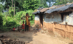 फेरियो लोपोन्मुख राउटेको जीवनशैली