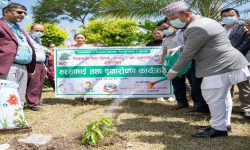 निजामती सेवा दिवसका अवसरमा वृक्षरोपण