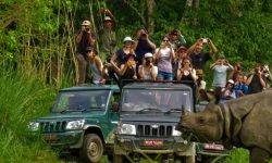 दसैँअघि निकुञ्जभित्र जिप सफारी