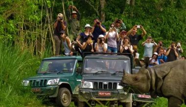 दसैँअघि निकुञ्जभित्र जिप सफारी