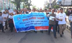 PAPAD organizes greater peace rally on Constitution Day