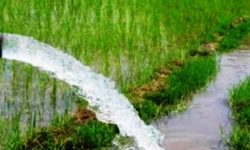 चार हेक्टर क्षेत्रफलमा थप सिँचाइ सुविधा विस्तार