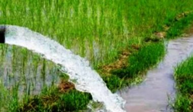 चार हेक्टर क्षेत्रफलमा थप सिँचाइ सुविधा विस्तार