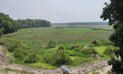 जलवायु परिवर्तनका दुष्प्रभाव : सुक्दै शुक्लाफाँटा निकुञ्जका ताल