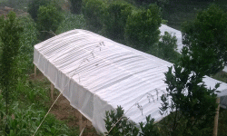 कृषिमा कम भविष्य देख्नेका लागि…