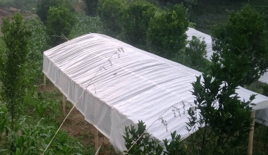 कृषिमा कम भविष्य देख्नेका लागि…