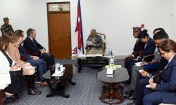 प्रधानमन्त्री कार्कीसँग अमेरिकी राजदूतको भेटवार्ता