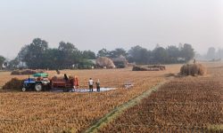किसानलाई धान भित्र्याउन भ्याइनभ्याई