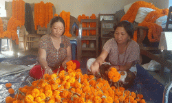 सयपत्री फूलको माग धान्न धौ–धौ