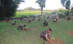 प्रकृति संरक्षणमा नौ हजार सेना