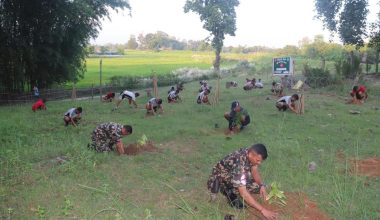 प्रकृति संरक्षणमा नौ हजार सेना