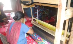 गृहिणीबाट उद्यमी: सीपले जीवन बदल्दै भोजपुरका महिला