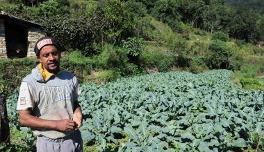 दृष्टिविहीन इन्द्रप्रसादको आत्मनिर्भर जीवन