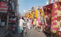 पुष्पखेती घट्दै गएपछि नेपालगञ्जमा फूलको अभाव