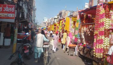 पुष्पखेती घट्दै गएपछि नेपालगञ्जमा फूलको अभाव