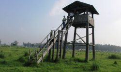 शुक्लाफाँटा राष्ट्रिय निकुञ्जमा जङ्गल सफारीका लागि रुट कायम