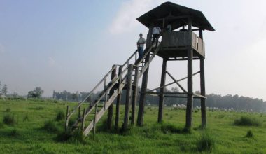 शुक्लाफाँटा राष्ट्रिय निकुञ्जमा जङ्गल सफारीका लागि रुट कायम