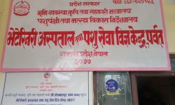 पशुपालक किसानलाई आत्मनिर्भर बनाउन ८० लाख अनुदान