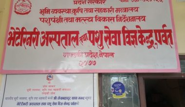पशुपालक किसानलाई आत्मनिर्भर बनाउन ८० लाख अनुदान