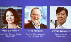 प्रतिरोध प्रणालीसम्बन्धी अनुसन्धानका लागि योगदान गर्ने तीन जनालाई चिकित्साशास्त्रतर्फको नोबेल पुरस्कार दिने घोषणा