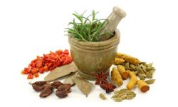 सबै स्थानीय तहमा आयुर्वेद केन्द्र पुग्यो