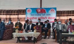 एमाले बैठक : राजनीतिक प्रतिवेदन सुझावसहित पारित