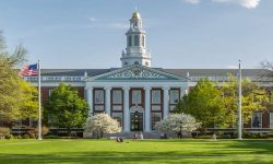 अमेरिकी विश्वविद्यालयको भिसा दर घट्यो, भारतीयका लागि नाटकीय गिरावट