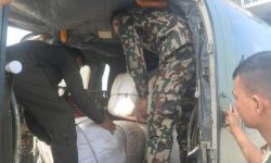 इलामलाई कोशी प्रदेश सरकारको सहयोग