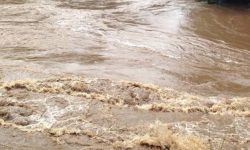 भारतको पश्चिम बङ्गालमा भारी वर्षाका कारण २४ जनाको मृत्यु