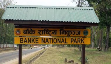 जङ्गली जनावरको आक्रमण बढेपछि स्थानीय आतङ्कित