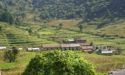 युवालाई आत्मनिर्भर बनाउँदै ‘चखेल’