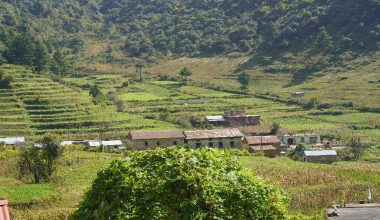 युवालाई आत्मनिर्भर बनाउँदै ‘चखेल’