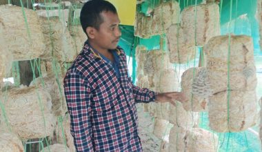 मङ्गलको आम्दानीको भरपर्दो स्रोत च्याउखेती