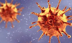 कोभिड-१९ सङ्क्रमणले मुसाहरूको शुक्राणु परिवर्तन, सन्तानमा चिन्ता बढ्ने सम्भावना : अध्ययन