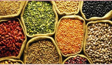 आज ४५औँ विश्व खाद्य दिवस