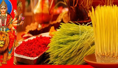 चौथो दिन पनि नवदुर्गाको प्रसादस्वरुप टीका र जमरासहित आशीर्वाद थाप्ने क्रम जारी