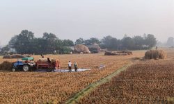 कैलालीका किसानलाई धानबाली भित्र्याउन भ्याइनभ्याइ