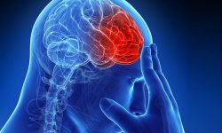 सक्रिय जीवन पद्धति अँगाल्ने आह्वानका साथ आज विश्व पक्षाघात दिवस मनाइँदै