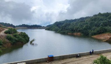 छठका लागि बागमती नदीमा धाप ड्यामको पानी छाडिने