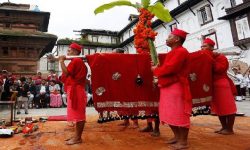 दरै समुदायले भित्र्याए फूलपाती