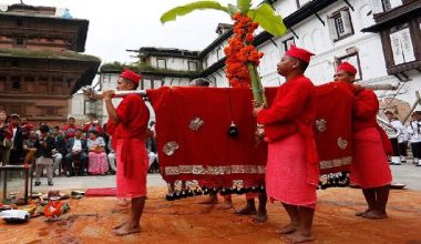 दरै समुदायले भित्र्याए फूलपाती