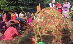 स्थानीय गाईको संरक्षण गर्दै वागीश्वरीमा गौ तथा गोवर्द्धन पूजा