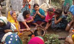 मिथिलाबासी गोधन कुट्ने पर्व मनाउँदै