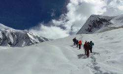 Missing German national, tour guide found