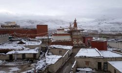 बाढीले तेताङमा १२ च्याङ्ग्रा मरे, सिँचाइ कुलो र खानेपानीमा क्षति