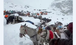 हिम आँधीले सगरमाथामा सयौँ पर्वतारोही फसे, उद्धार जारी