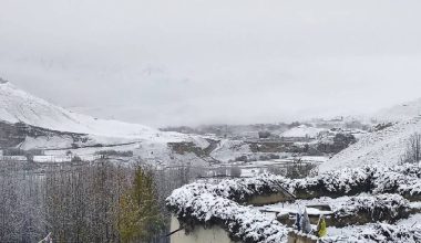 मुस्ताङको सरिबुङ पास क्षेत्रमा १४ पदयात्री सम्पर्कविहीन