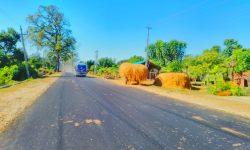 नारायणपुर–राजपुर खण्ड नबन्दा हुलाकी सडक अधुरो