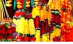 पोखरामा प्लाष्टिकका फूल/मालाको बिक्री वितरण कम हुँदै